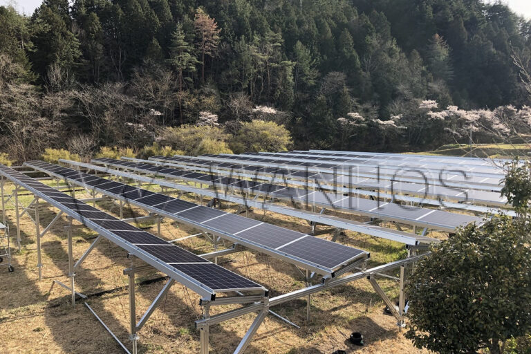 Wanhos Japanese Solar Agrivoltaics Project