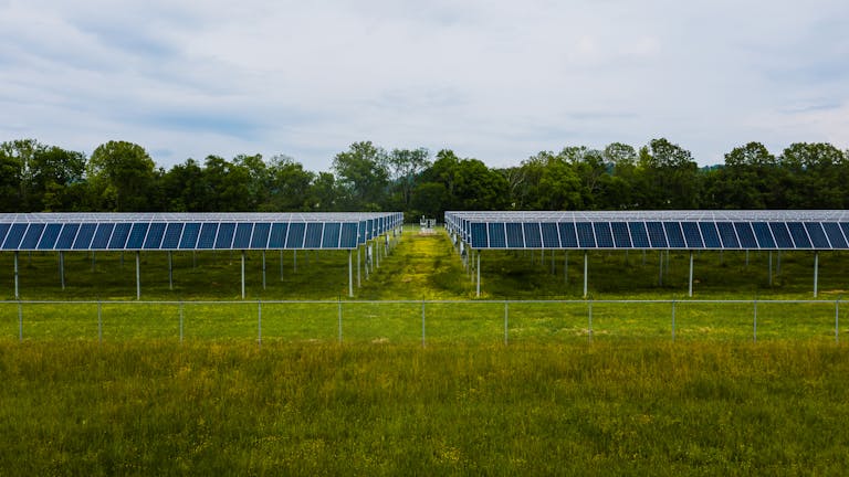 Aerial view of solar panels on a racking system in a grassy field with trees in the background.