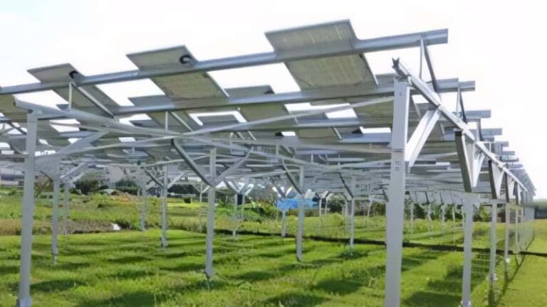 solar mounting systems for sustainable agriculture