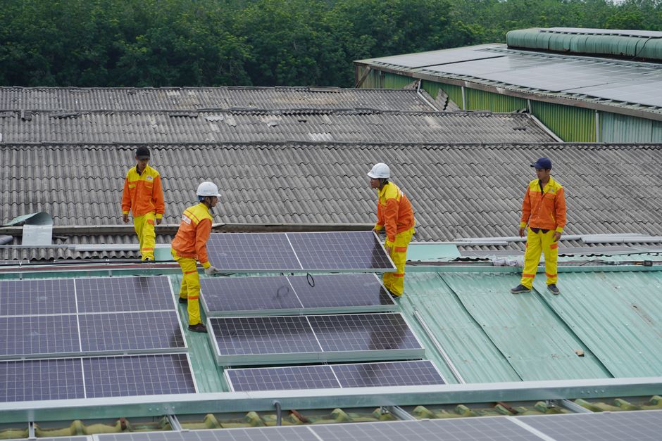 Agri-Voltaic Systems for Commercial Projects: The Structural and Procurement Factors That Actually Matter